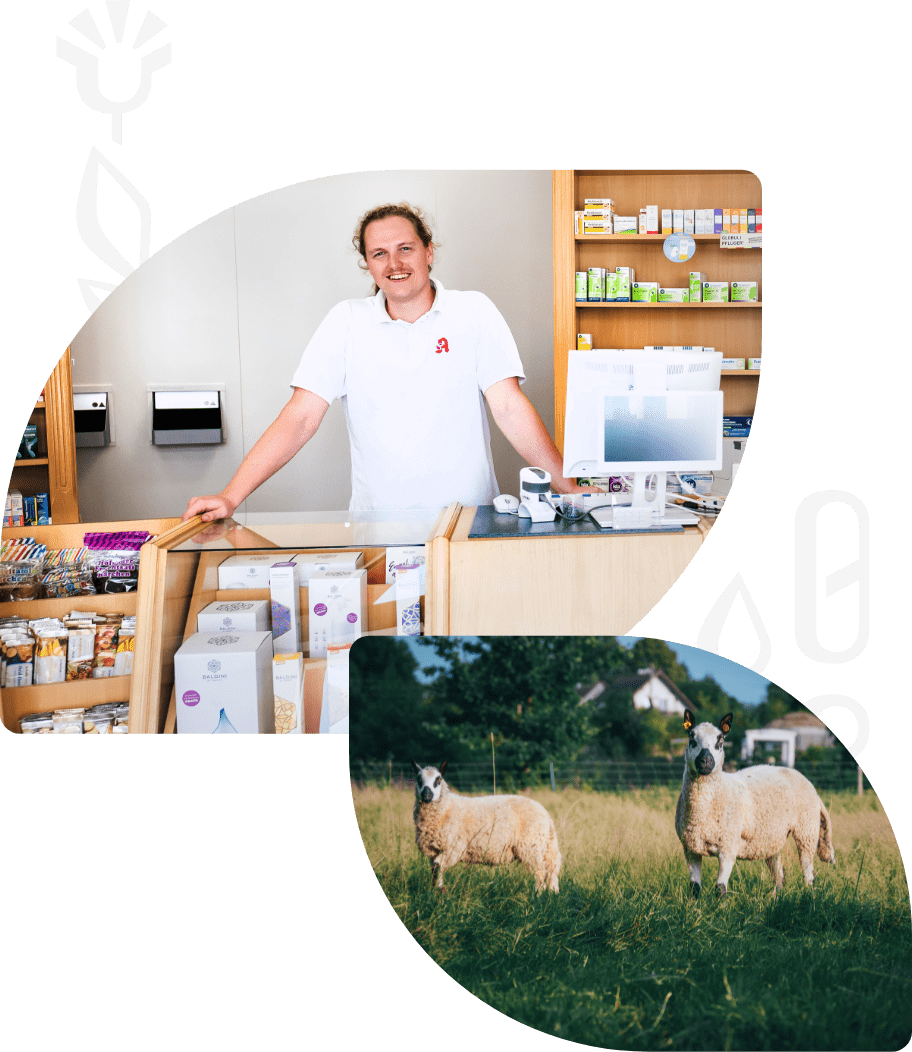 Zeigt Apotheker Adrian Neumann in der Schloßapotheke lächelnd an der Ladentheke. Und in einem anderen Bild Schafe auf der Weide.